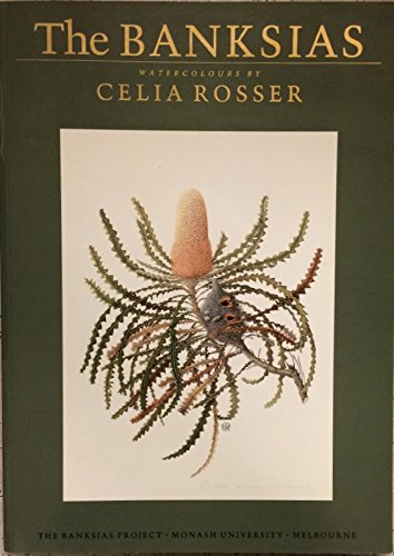 The Banksias - Watercolours by Celia Rosser