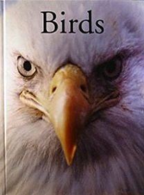 Birds - Christiansen, Per (editor)