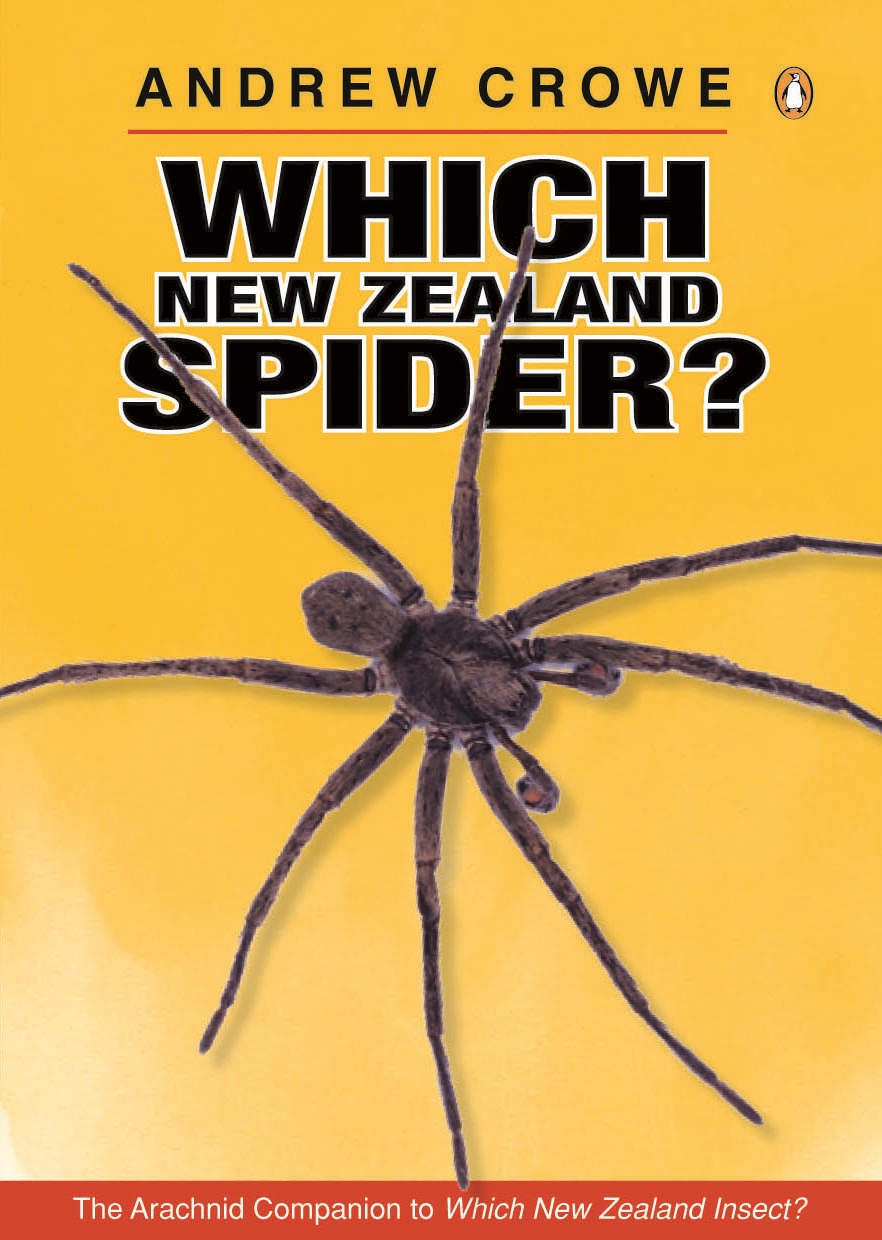 Which New Zealand Spider? - Crowe, Andrew