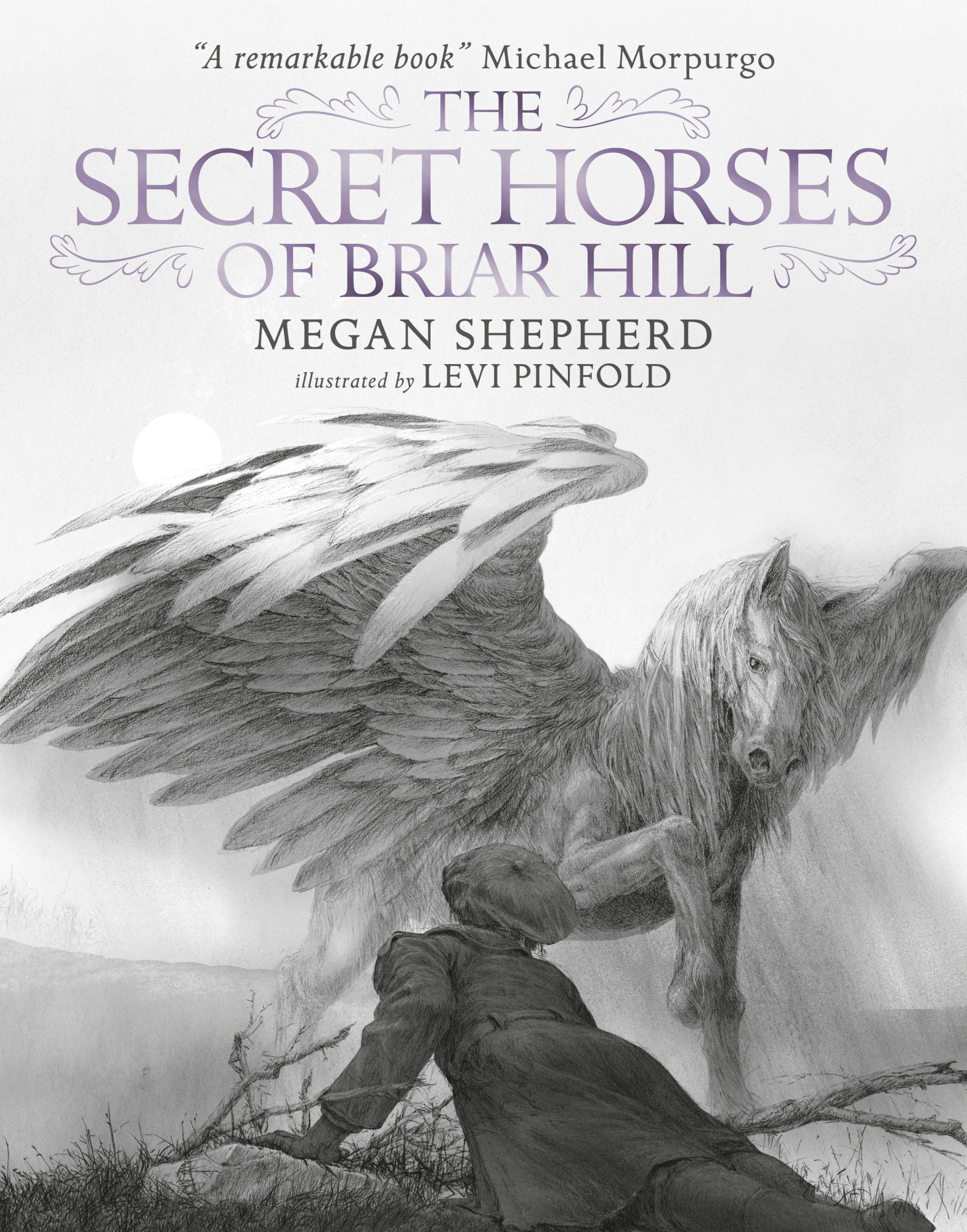 The Secret Horses of Briar Hill - Shepherd, Megan