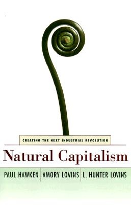 Natural Capitalism - Creating the Next Industrial Revolution - Hawken, Paul et al