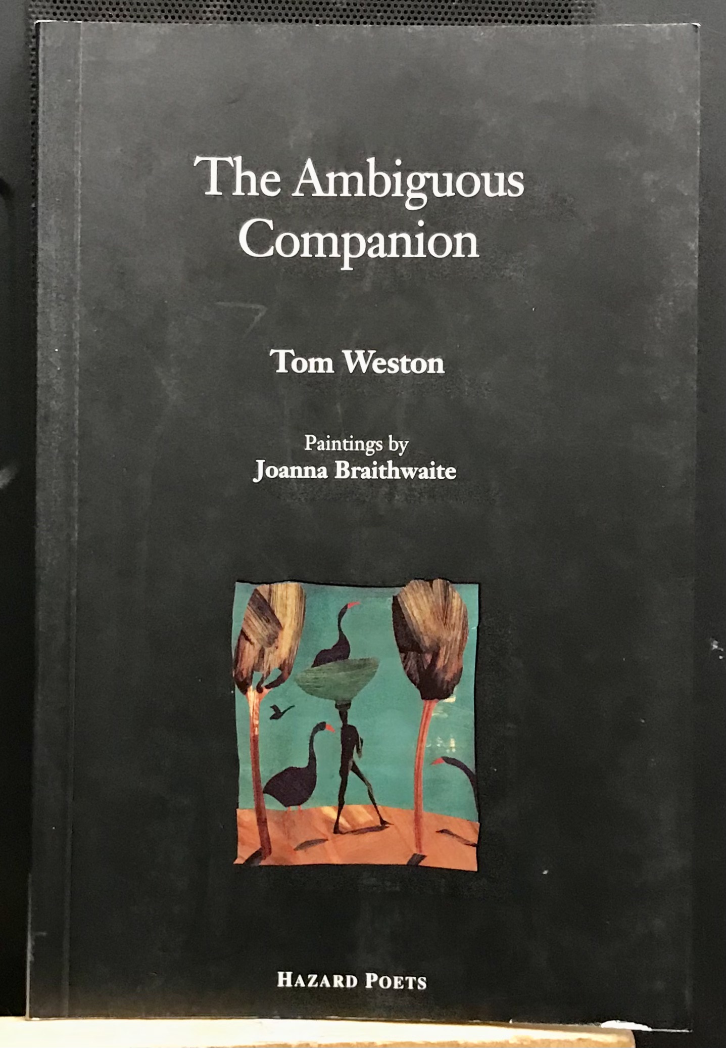 The Ambiguous Companion - Weston, Tom and Braithwaite, Joanna (artist)