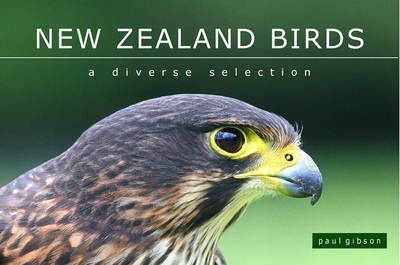 New Zealand Birds - A Diverse Selection - Gibson, Paul