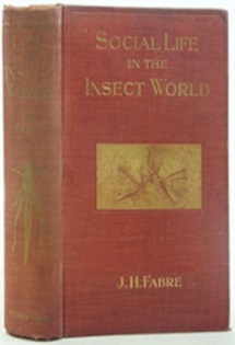 Social Life in the Insect World - Fabre, J.H. and Miall, Bernard (translator)