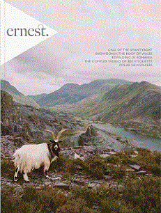 Ernest Journal 8 - Tinsley, Jo (editor)