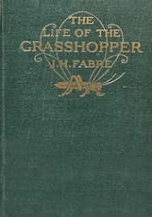 The Life of the Grasshopper - Fabre, Jean- Henri and De Mattos, Alexander Teixeira (translator)