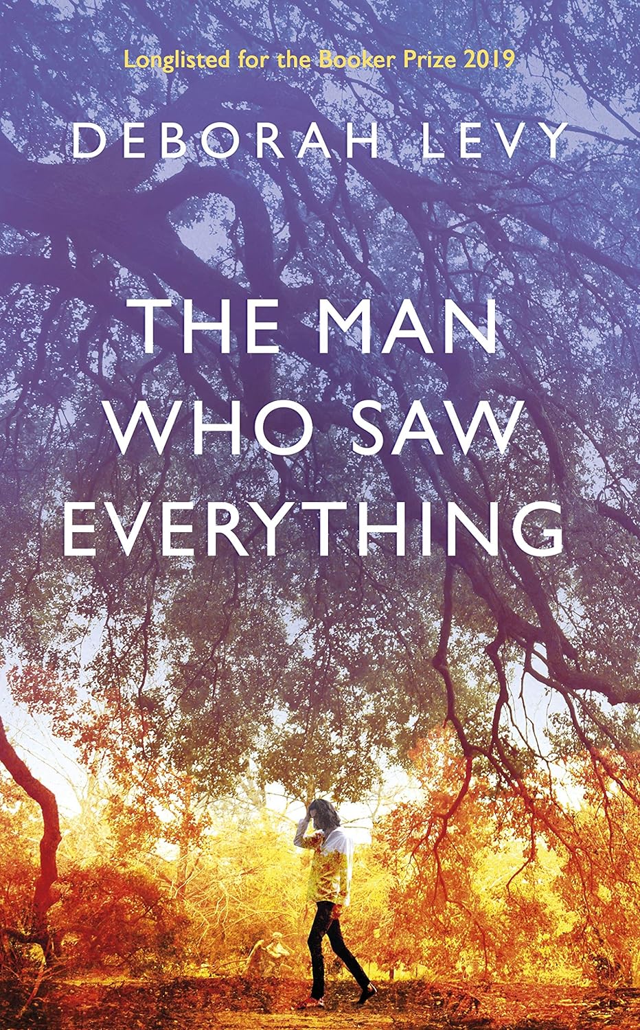 The Man Who Saw Everything - Levy, Deborah