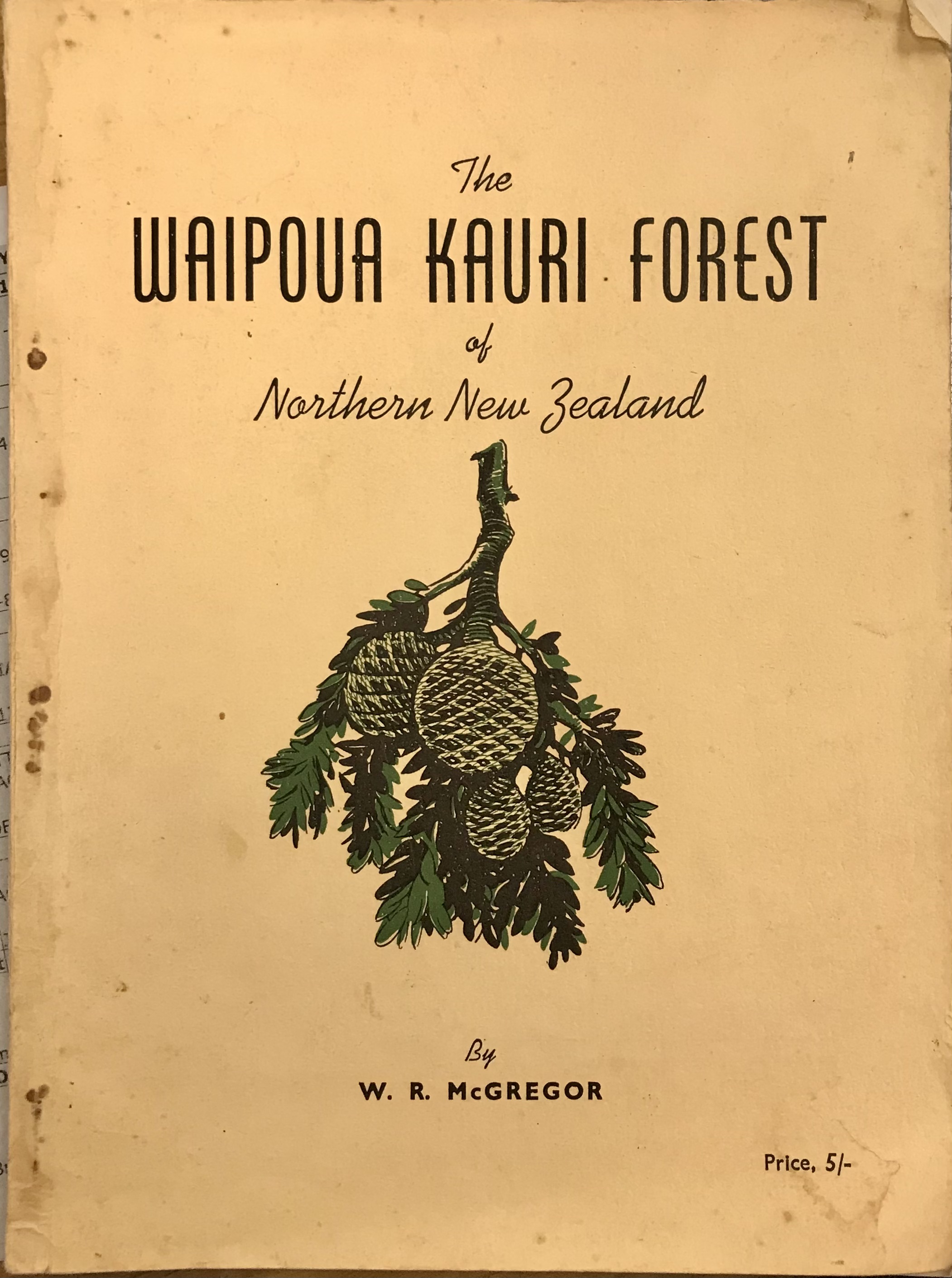 The Waipoua Kauri Forest of Northern New Zealand - McGregor, W R 