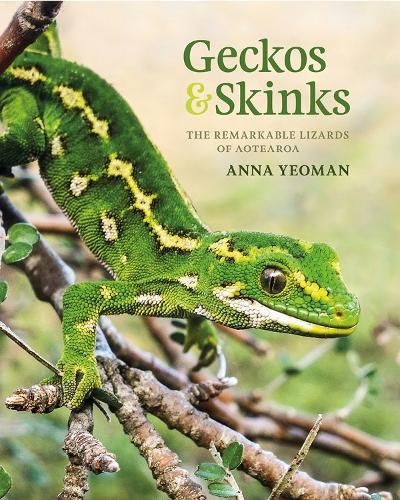 Geckos and Skinks - The Remarkable Lizards of Aotearoa - Yeoman, Anna