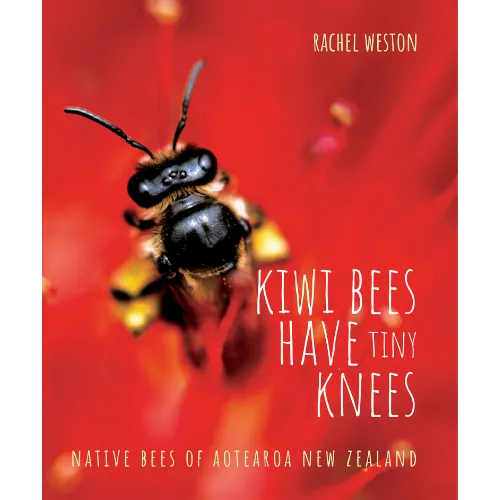 Kiwi Bees have Tiny Knees - Native Bees of Aotearoa New Zealand - Weston, Rachel