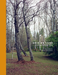 Shining Land - Looking for Robin Hyde - Morris, Paula and Sameshima Haru