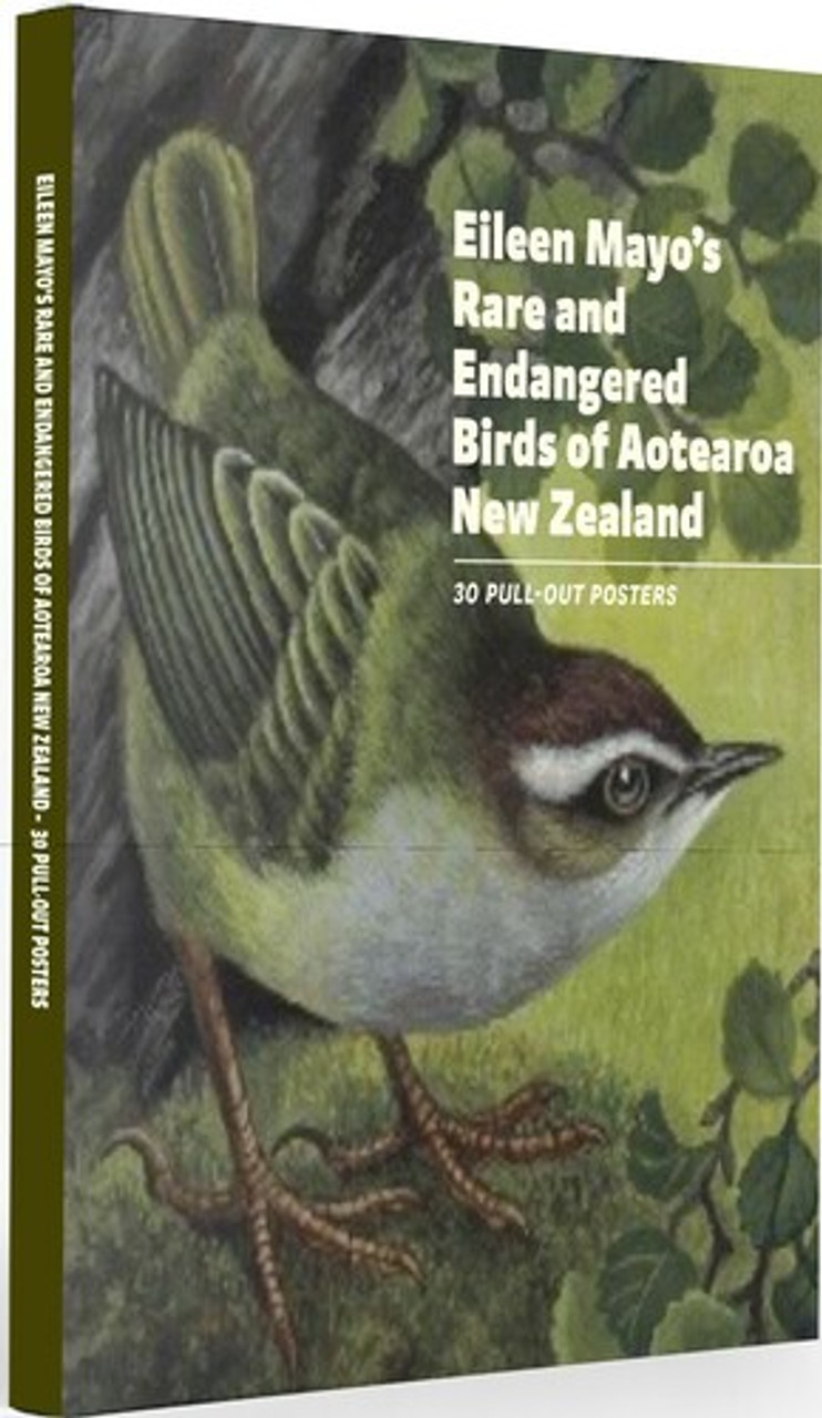 Eileen Mayo's Rare and Endangered Birds of Aotearoa New Zealand - 30 Pull-out Posters - Mayo, Eileen