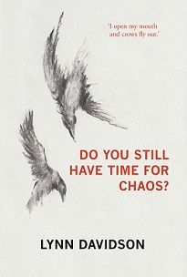 Do You Still Have Time for Chaos? - Davidson, Lynn