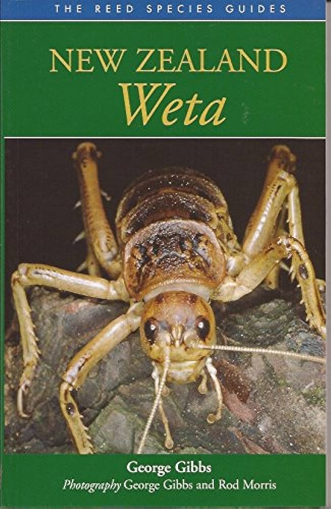 The Reed Species Guides - New Zealand Weta - Gibbs, George and Morris, Rod (photography)