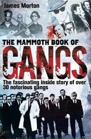 The Mammoth Book of Gangs - The Fascinating Inside Story of 34 Notorious Gangs - Morton, James