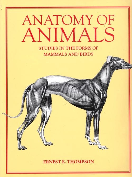 Anatomy of Animals: Studies in the Forms of Mammals and Birds - Thompson, Ernest E.