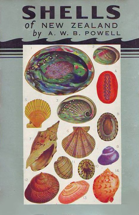 Shells of New Zealand - Powell, A. W. B.