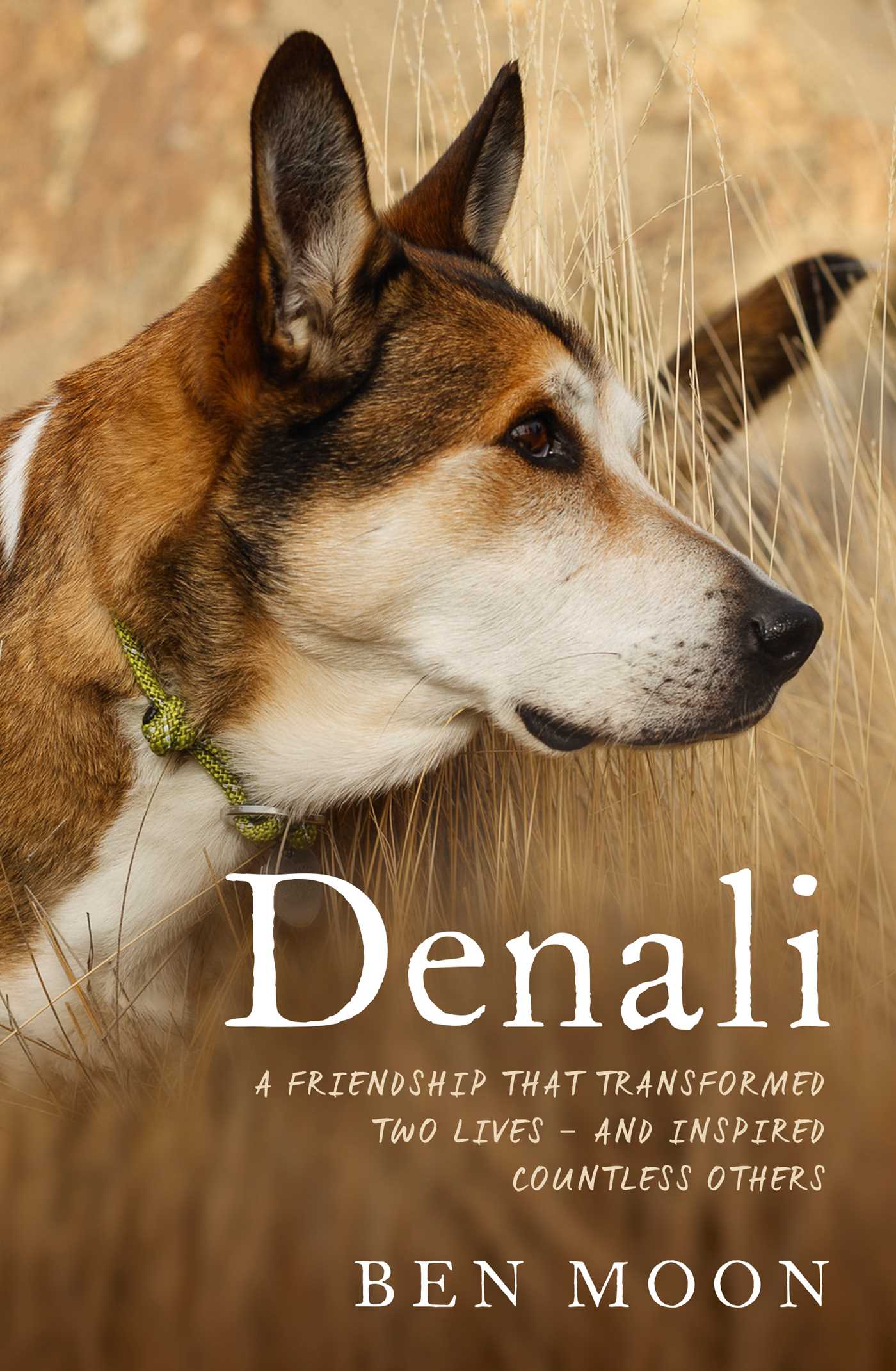 Denali: A Man, a Dog, and the Friendship of a Lifetime - Moon, Ben