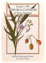 Eagle's 100 Shrubs and Climbers of New Zealand - Botanical Paintings and Notes - Eagle, Audrey