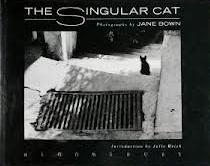 The Singular Cat  - Photographs - Bown, Jane
