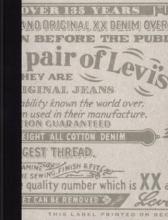 This is a pair of Levi's Jeans - Downey, Lynn., Lynch, Jill Novack., & McDonough, Kathleen