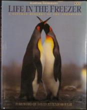 Life in the Freezer: A Natural History of the Antarctic - Fothergill, Alastair