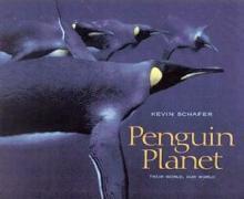 Penguin Planet - Their World, Our World - Schafer, Kevin