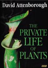 The Private Life of Plants - A Natural History of Plant Behaviour - Attenborough, David