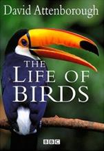 The Life of Birds - Attenborough, David and BBC