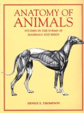 Anatomy of Animals: Studies in the Forms of Mammals and Birds - Thompson, Ernest E.